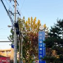 전주실내배드민턴장 이미지