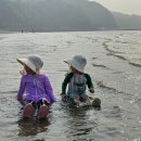 이모유통 이미지
