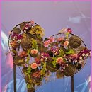 고려농원 이미지