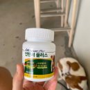 셀레네 동물병원 이미지