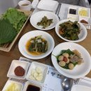 기통찬장어 이미지