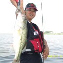 장안대교(밑) 이미지