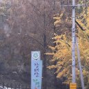 [장태산] 전망대, 형제바위 코스 후기 (애견동반🐶)