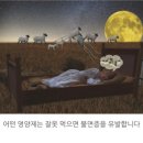 영양제 먹는 시간 정리 이미지