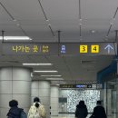 영스타서래 이미지