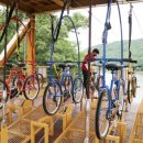 입곡군립공원(출렁다리) 이미지