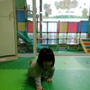 길따라꽃따라