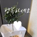 텐인텐아이파크시티공인중개사사무소 | 대전 아이파크시티 2단지 84㎡ 매매 완료