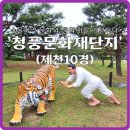 [제천 10경] &#34;청풍문화재 단지(4), 청풍면 수몰지역 문화와 문화재를 이전 복원해 만든 작은 민속촌 &#34;