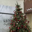 레이브 | [레이브] 레오파드 숄더백 내돈내산 후기