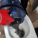 양덕당구클럽 이미지