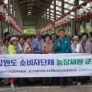 홍천축협생축장 이미지