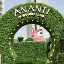 앨리스 in WONDERLAND | [빌라쥬드아난티 앨리스] ANANTI in Wonderland | 아난티 부산 | 이상한나라의 앨리스 미로정원 | 부산...