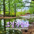 기능사의 집 | 조경기능사 필기와 실기 제도판없이 독학으로 파이팅혼공TV 활용후기