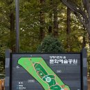 문화예술공원 유아숲체험장 놀이터 네이버블로그