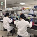 농림축산검역본부(식물검역기술개발센터) 이미지