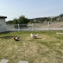 오늘도너와