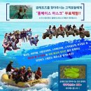 대학레포츠 이미지