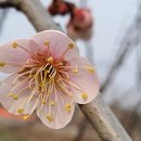 만경농장2 이미지