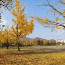 청사1길 이미지