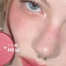 주식회사 피노 이미지