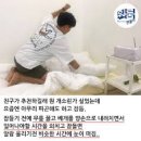 스피드메이트 서울대입구역점 네이버블로그