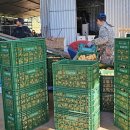 큰사랑농장 이미지