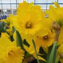 수선농장 이미지