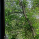 신뮤지엄 이미지