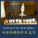 아라마요가 네이버블로그