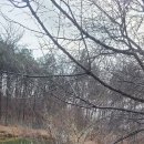 부곡농장 이미지