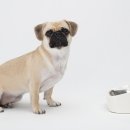 한양사료유통 이미지