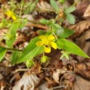 교원학원 이미지