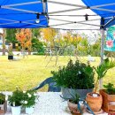 금마면주민센터 이미지