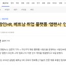 데브랜서 이미지