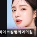 바이브성형외과의원 네이버블로그