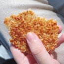 정성한우 정육식당 | [전북/김제] 총체보리한우정육식당 후기