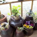 맘씨좋은커피 이미지