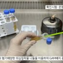 G4398 네이버블로그