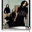 샤론바이올린스튜디오 | 켈트와 팝의 사이, The Corrs