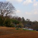 강골마을 아치실댁 이미지