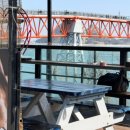 빨간다리 이미지