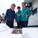 태안군, 서해안 대표 오징어 연일 만선으로 활기 찾아 (서산태안신문) 이미지