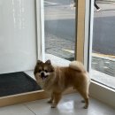 멍블리즈 이미지