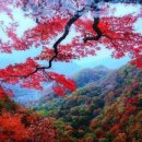 대구종합유통단지 산업용재관 이미지