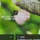 회피? or HAPPY! (이스탄불-불가리아)