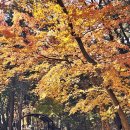 내장산국립공원화장실(야영장) | 내장산국립공원야영장 정읍 내장산캠핑장 가을캠핑 27번 후기