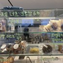 테일링커피로스터스 이미지