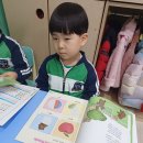 Phonics &amp; Literacy 이미지