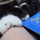 옥계신당로-13 | 내 통장이 가난한 이유가 나라니...